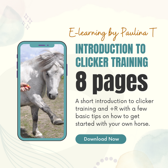 Clicker training introduction